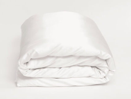 Комплект постельного белья German Grass Arctic White Brilliant Grass Евро