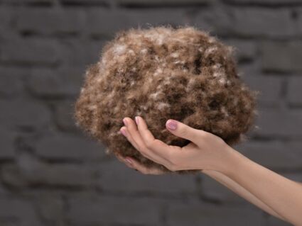 Одеяло German Grass EXCLUSIVE COTTON EIDER DOWN всесезонное 