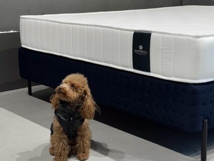 Матрас Materlux Aventino Multi 120х190