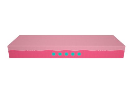 Матрас Mr.Mattress BioGold Hard 40