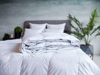 Одеяло German Grass Gray Familie Down всесезонное 240х260