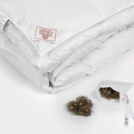 Одеяло German Grass EXCLUSIVE COTTON EIDER DOWN теплое 150х200